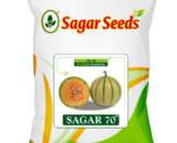 Sagar 70 F1 Muskmelon Seeds- Yellow Skin, Green Stripe, High Yield