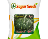 Sagar KARNA F1 Pumpkin