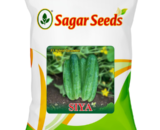 Sagar Siya F1 Cucumber Seeds- Light Green, Cylindrical, Crispy, 18-22cm