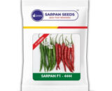 SARPAN F1-4444 (SEEDS)