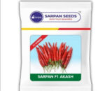 SARPAN AKASH CHILLI SEEDS