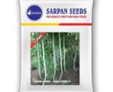 SARPAN HYBRID SNAKE GOURD-21 (SEEDS)