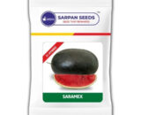 SARPAN SARAMEX Watermelon (ICEBOX)