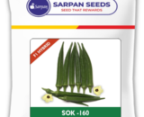 SARPAN SOK-160 (F1 HYBRID) BHENDI SEEDS