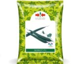 Sorot F1 Ridgegourd Seeds - Long, Dark Green, High Yield