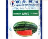 SUPRIT 2 WATER MELON
