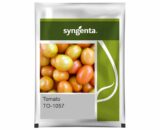 TO- 1057 Tomato Seeds - High Yield, Heat Set, Long Distance Transport