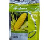 Sweetcorn Hybrid seed SWC I
