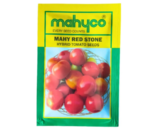 TOMATO NO. 2703 (MAHY RED STONE)