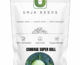 URJA CABBAGE F1 SUPERBALL