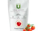 Urja US-525 Tomato Seeds (DETERMINATE) â€“ Juicy, Acidic, Flattened Round, Medium-Sized