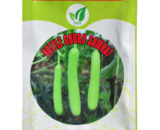 Vanita BottleGourd Samrat