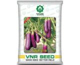 218 F1 Hybrid Brinjal Seeds â€“ High Yield, Early Harvest, Light Purple Fruits
