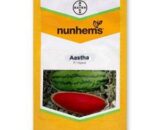 ASTHA WATERMELON SEEDS (à¤†à¤¸à¥à¤¥à¤¾ à¤¤à¤°à¤¬à¥‚à¤œ)