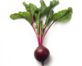 ZEPPO RZ F1 (13-30) BEETROOT